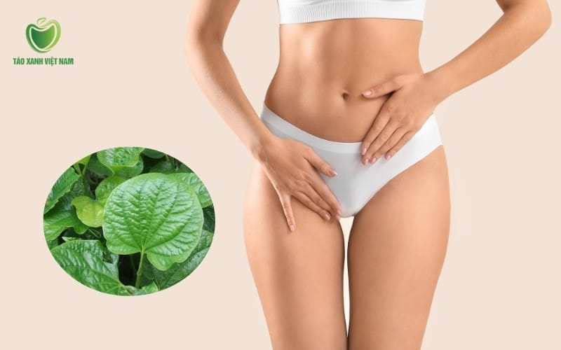 Trị hôi vùng kín bằng lá lốt