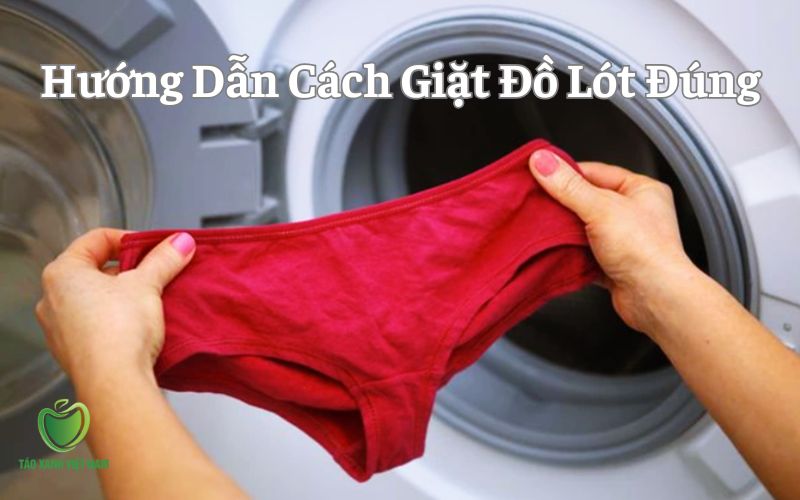 Hướng dẫn cách giặt đồ lót đúng cách