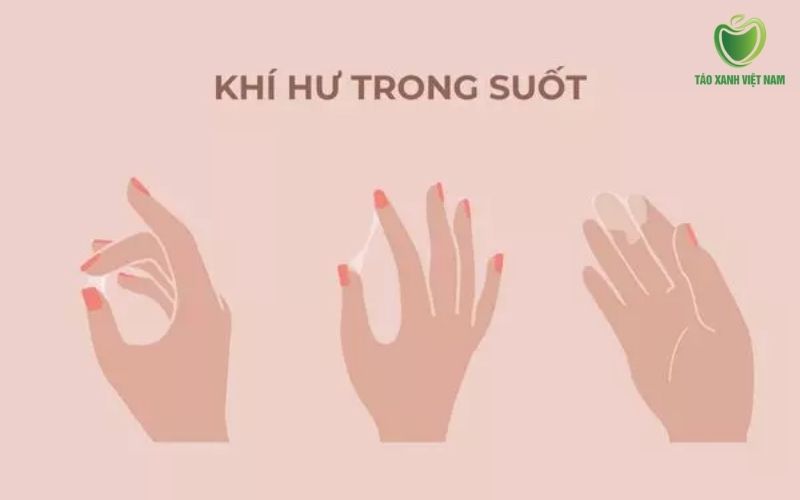 Khí hư trong suốt